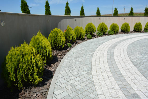 Best Driveway Repair Near Me  in Cockeysville, MD